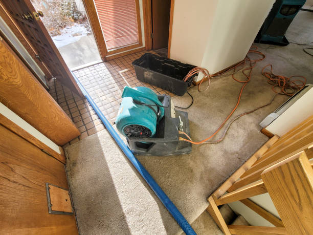Best Water damage restoration insurance claims  in Muskego, WI