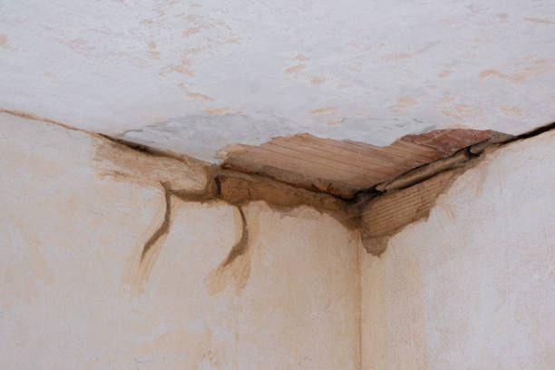 Best Mold removal after water damage  in Muskego, WI