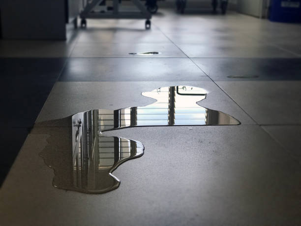 Best Water damage restoration near me  in Muskego, WI