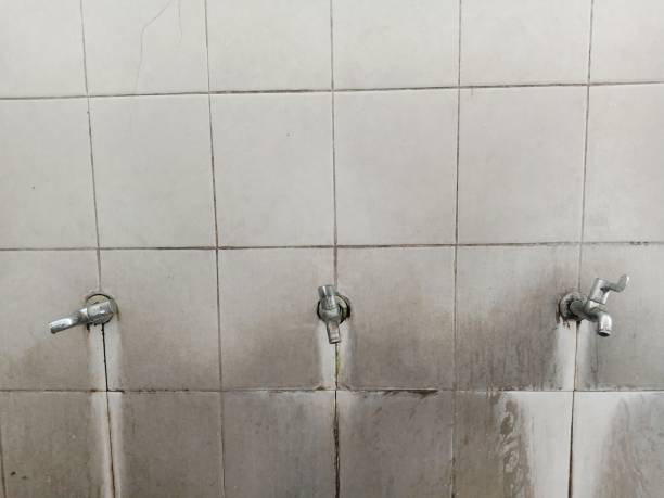 Best Flood damage cleanup  in Muskego, WI