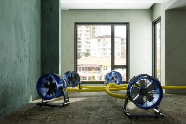 Water damage restoration insurance claims in Muskego, WI